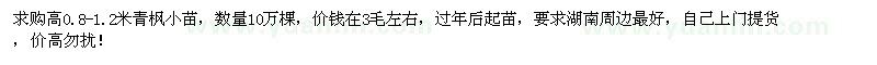 求購高0.8-1.2米青楓小苗10萬棵