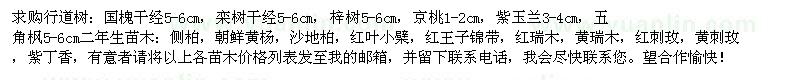 求購國槐、欒樹、梓樹