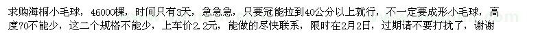 求購海桐小毛球