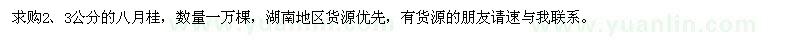 求購2公分、3公分的八月桂