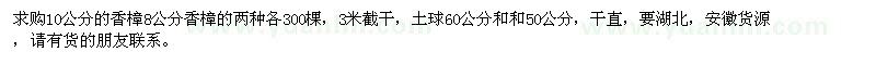 求購8公分、10公分香樟各300棵