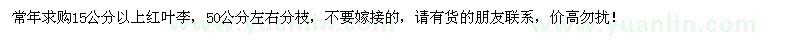 求購大量15公分以上紅葉李