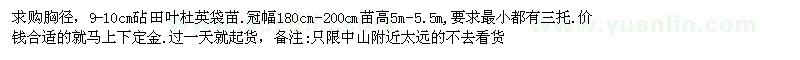 求購胸徑，9-10cm砧田葉杜英袋苗