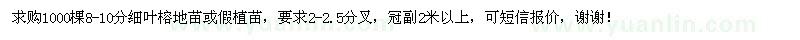 求購1000棵8-10分細(xì)葉榕