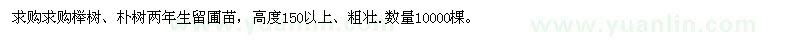 求購櫸樹、樸樹兩年生留圃苗數(shù)量10000棵