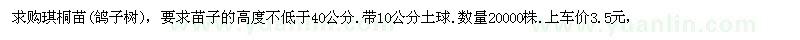 求購琪桐苗