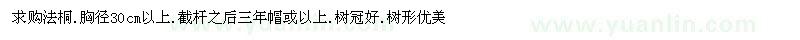 求購法桐