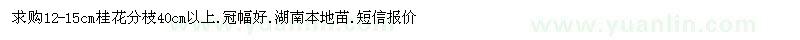 求購12-15cm桂花
