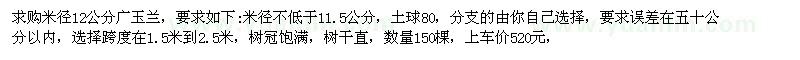 求購米徑12公分廣玉蘭