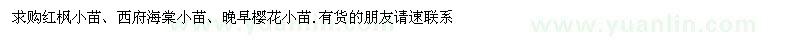 求購紅楓小苗 西府海棠小苗 晚早櫻花小苗