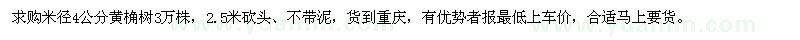 求購米徑4公分黃桷樹