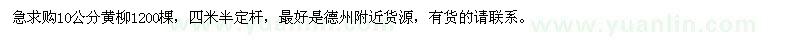 求購(gòu)10公分黃柳1200棵