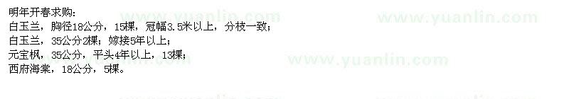 求購白玉蘭,元寶楓,西府海棠