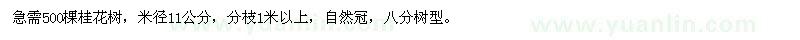 求購米徑11公分桂花樹500棵 