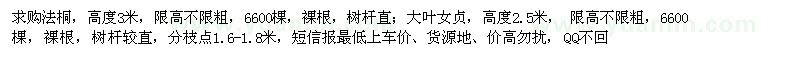 求購法桐,大葉女貞