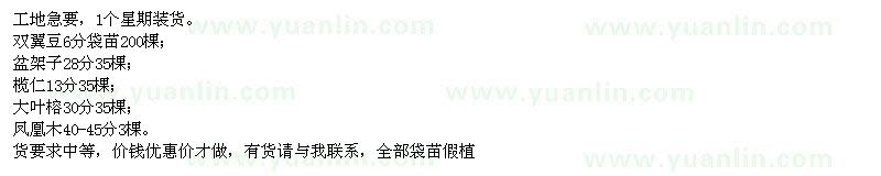 求購雙翼豆,盆架子,欖仁,大葉榕,鳳凰木