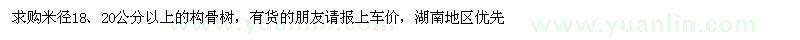 求購米徑18,20公分以上的構骨樹