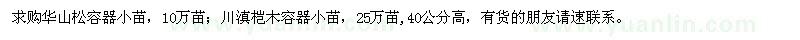 求購華山松容器小苗,川滇榿木容器小苗
