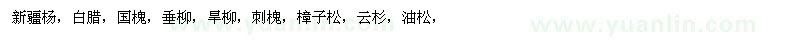 求購新疆楊，白臘，國槐，垂柳，旱柳，刺槐，樟子松，云杉，油松，