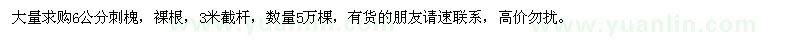 求購(gòu)6公分刺槐