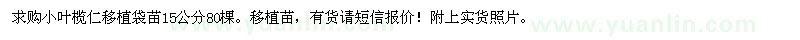 求購小葉欖仁移植袋苗15公分80棵