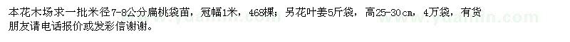 求購扁桃袋苗,花葉姜5斤袋