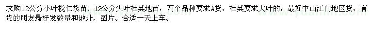 求購12公分小葉欖仁袋苗,12公分尖葉杜英地苗