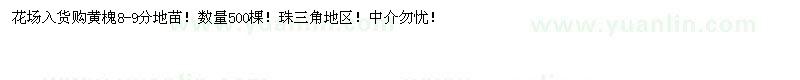 求購黃槐8-9分地苗500棵 