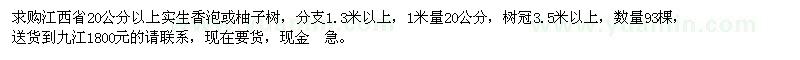 求購香泡