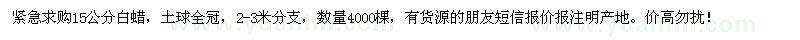 求購15公分白蠟4000棵