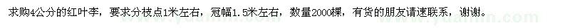 求購4公分的紅葉李