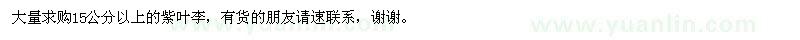 求購(gòu)15公分以上的紫葉李