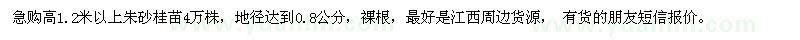 求購高1.2米以上朱砂桂苗4萬株