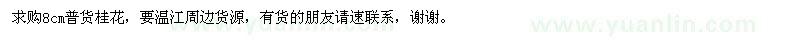 求購普貨桂花8cm 
