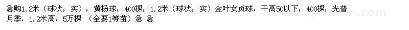 求購黃楊球、金葉女貞球、光普月季 