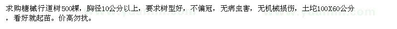 求購糖槭行道樹胸徑10公分以上500棵 
