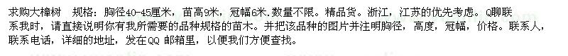 求購大樟樹 規(guī)格：胸徑40-45厘米，苗高9米