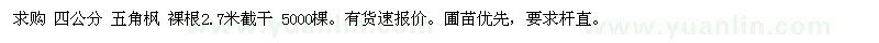 求購四公分五角楓