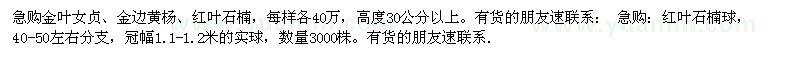求購金葉女貞、金邊黃楊、紅葉石楠、紅葉石楠球 