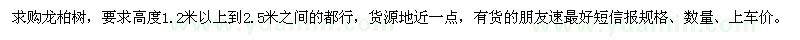 求購龍柏樹2萬棵