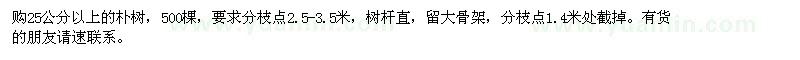 求購25公分以上的樸樹