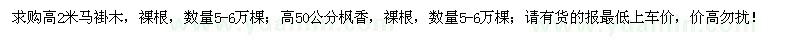 求購(gòu)馬褂木、楓香