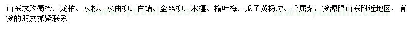 求購蜀檜、龍柏、水杉、水曲柳、白蠟、金絲柳、木槿、榆葉梅、瓜子黃楊球、千屈菜 