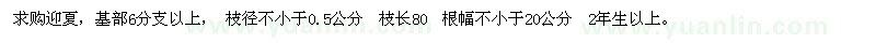 求購迎夏6分支以上 