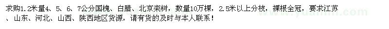 求購國槐、白臘、北京欒樹 