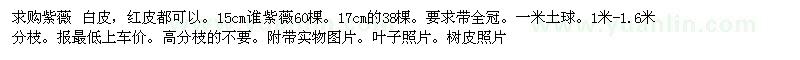 求購紫薇