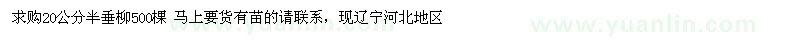 求購20公分半垂柳