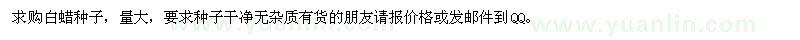求購白蠟種子