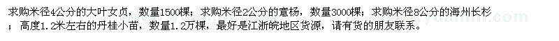 求購大葉女貞、意楊、海州長杉、丹桂小苗