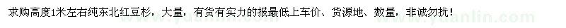 求購高1米左右純東北紅豆杉